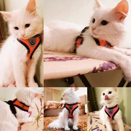 Cat Harness Vest & Walking Lead Leash – Adjustable Mesh Dog Harness for Small & Medium Pets