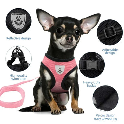 Cat Harness Vest & Walking Lead Leash – Adjustable Mesh Dog Harness for Small & Medium Pets