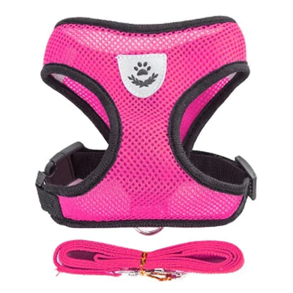Cat Harness Vest & Walking Lead Leash – Adjustable Mesh Dog Harness for Small & Medium Pets