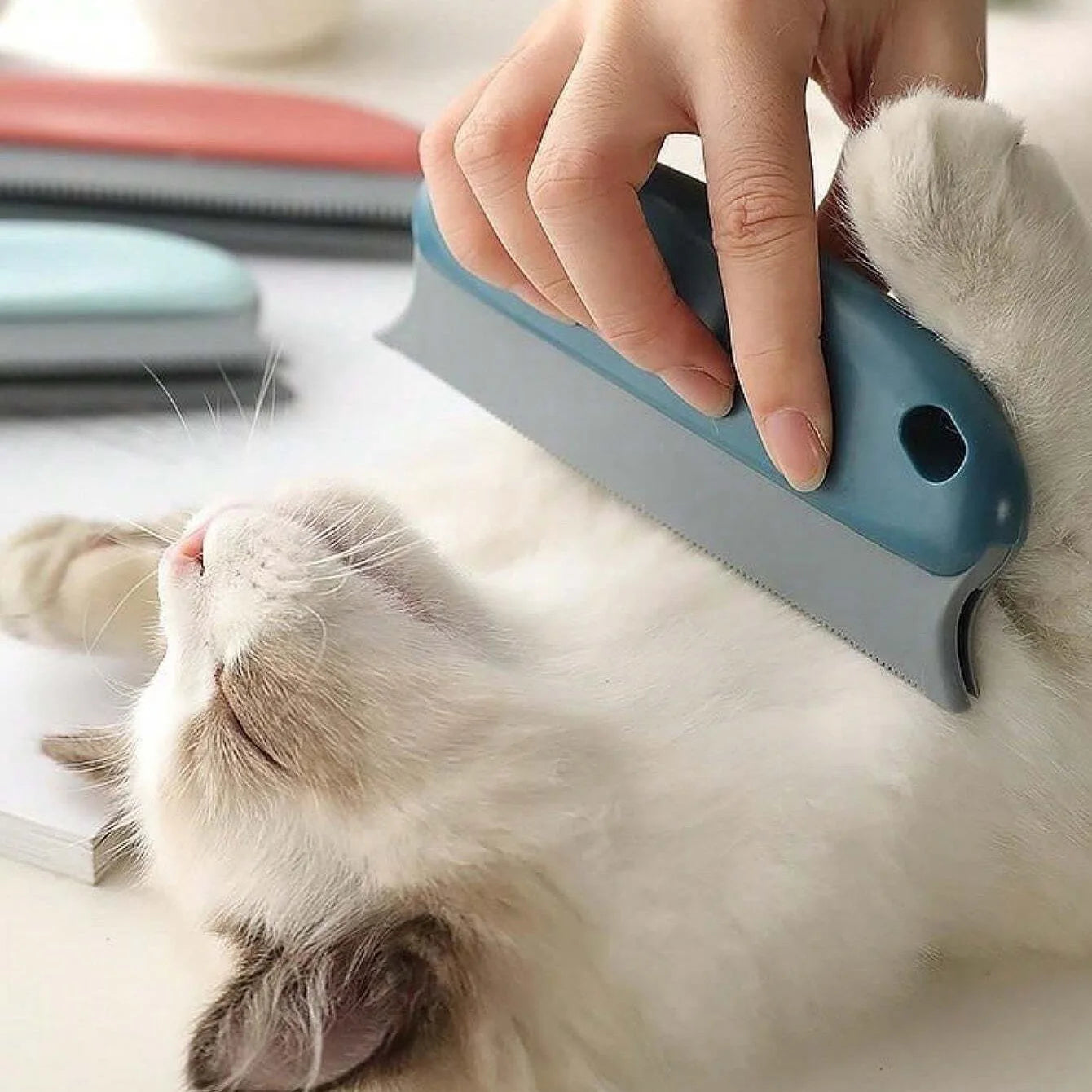 Effective Pet Hair Remover Brush for Cats and Dogs – Gently Shaves Wool & Cleans Fur
