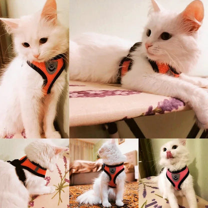 Cat Harness Vest & Walking Lead Leash – Adjustable Mesh Dog Harness for Small & Medium Pets