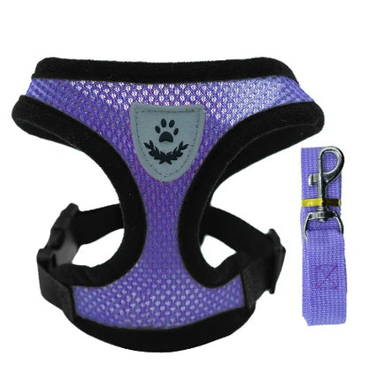 Cat Harness Vest & Walking Lead Leash – Adjustable Mesh Dog Harness for Small & Medium Pets