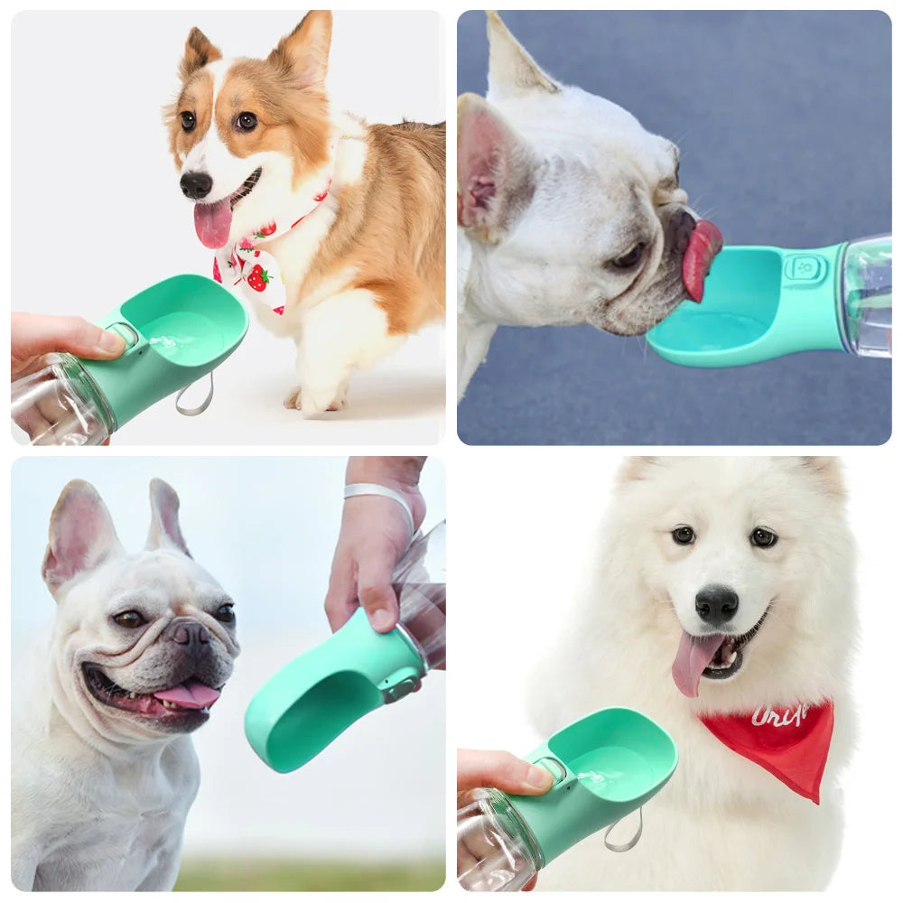 Portable Dog Water Bottle – Leakproof Drinking Bottle for Small & Large Dogs