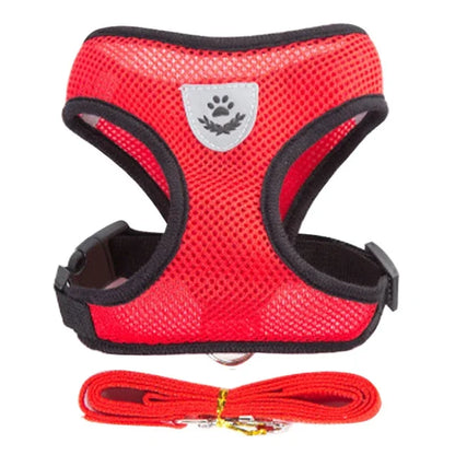 Cat Harness Vest & Walking Lead Leash – Adjustable Mesh Dog Harness for Small & Medium Pets