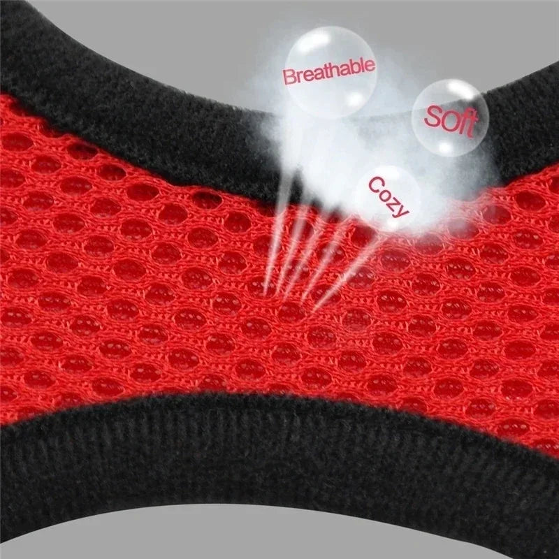 Cat Harness Vest & Walking Lead Leash – Adjustable Mesh Dog Harness for Small & Medium Pets