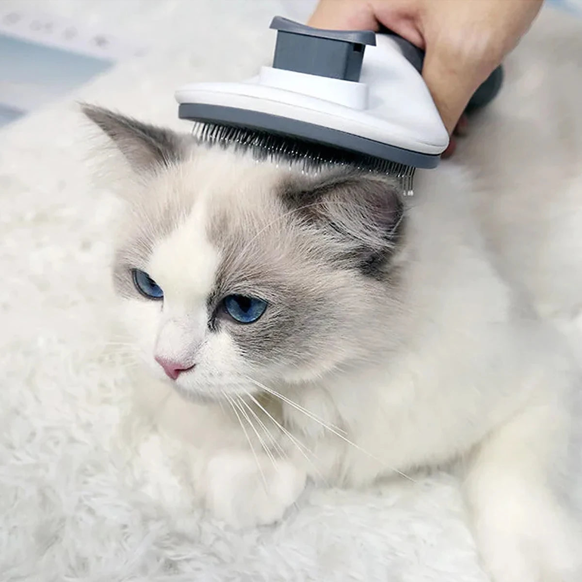 One-Click Hair Removal Pet Comb – Automatic Cat & Dog Hair Removal Brush