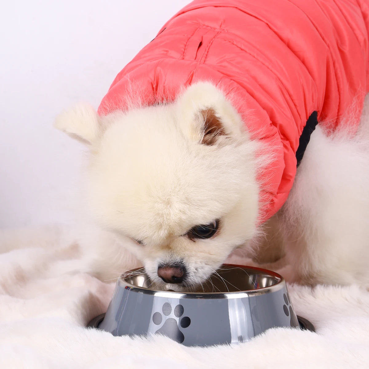 1PC Stainless Steel Pet Bowl – Anti-Fall Food Bowl for Dogs & Cats