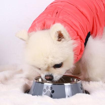 1PC Stainless Steel Pet Bowl – Anti-Fall Food Bowl for Dogs & Cats