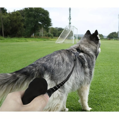 Reflective Dog Leash with Comfortable Padded Handle – Heavy Duty Traction Rope for Strong Dogs