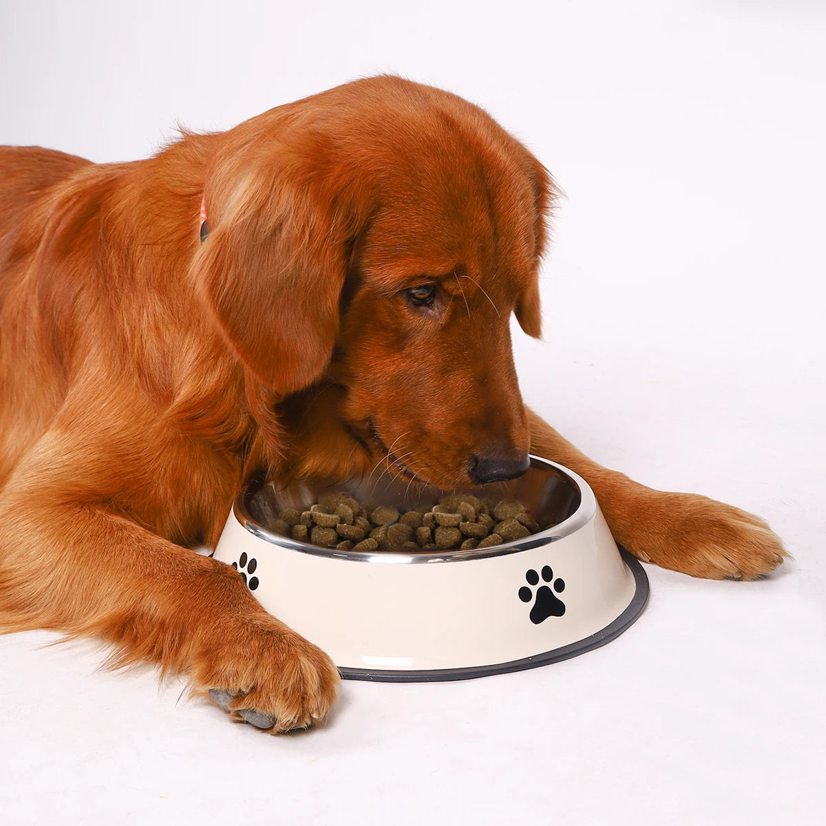 1PC Stainless Steel Pet Bowl – Anti-Fall Food Bowl for Dogs & Cats